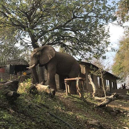 Ximongwe River Camp - Crocodile Cottage Balule Game Reserve Exterior foto